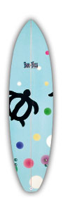 NewBlue 6'3